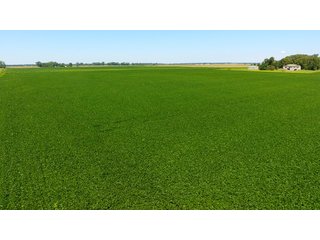Property photo 3 - LAND AUCTION - 75+/- ACRES OFFERED IN 1 TRACT IN LAKE COUNTY, INDIANA